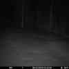 20260309 015446