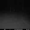 20251207 174646