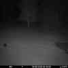 20250916 024302