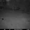 20250728 003137