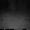 20250929 024331