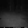 20251102 174501