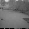 20250917 184306
