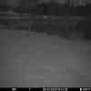 20260308 175443