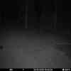 20251030 174452