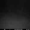 20260311 015454