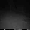 20251123 174603