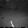 20250728 233709