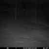 20260305 175435