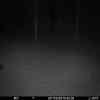 20251125 174610