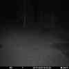 20251129 174623