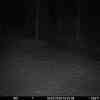 20260319 015517