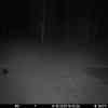 20251014 184407