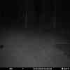 20251031 014450
