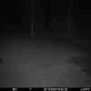 20251124 174607