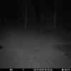 20251108 174514