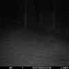 20260315 015506