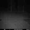20251028 014443
