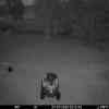 20250727 011350