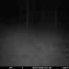 20260416 025631