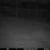 20260309 175447