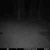 20251027 174443