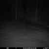20260313 015457
