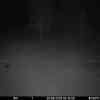 20250930 024330