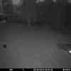 20250930 184336