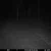 20251211 174659
