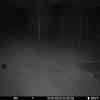 20251010 024357
