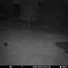 20250911 024255