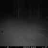 20251018 184421