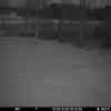 20260310 175452