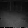 20251107 014509