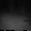 20251129 014620