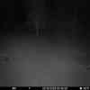 20251002 024339