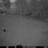 20250723 225748