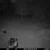 20250730 000859