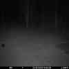20251023 184429