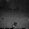 20250804 225843