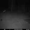 20251014 024406