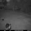 20250731 013141