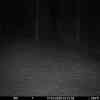 20260317 015511