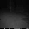 20251124 014602