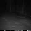 20260310 015448