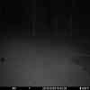 20251028 174445
