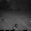 20250804 230455