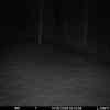 20260314 015502