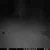20251004 024343